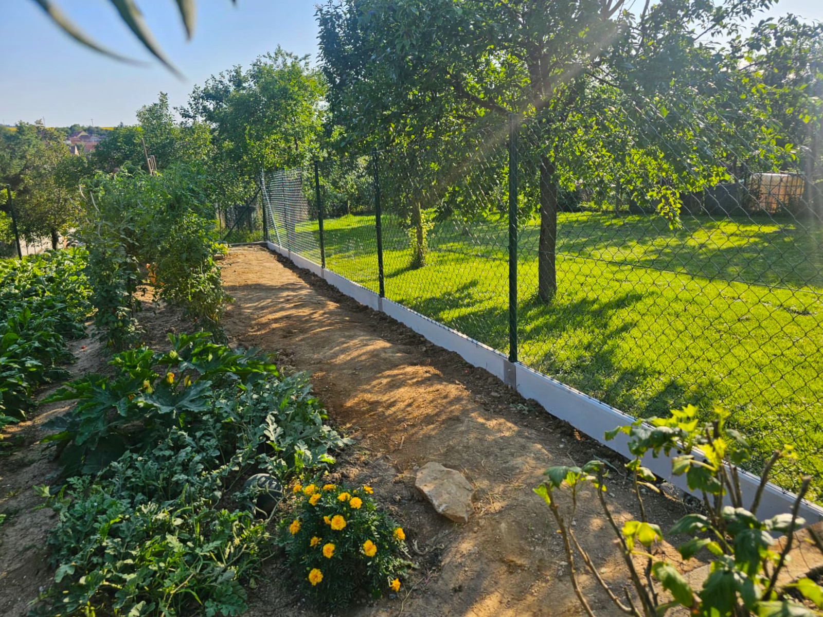 30851a23-7725-44fc-967d-94a06b61ad99